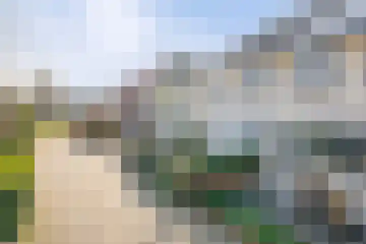 Dirck van Delenlaan 8 Lopik thumbnail 5