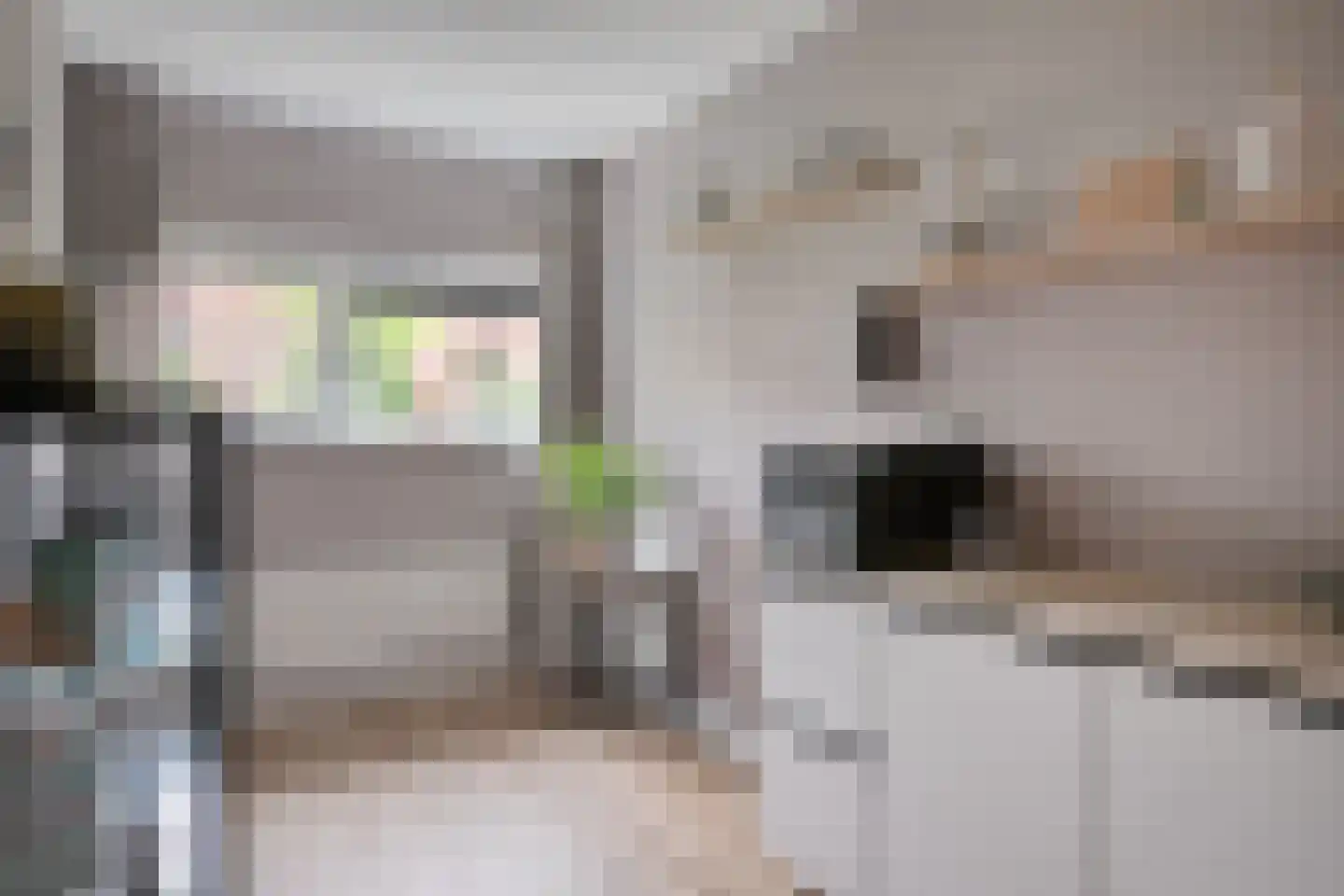 Dirck van Delenstraat 1 Middelburg thumbnail 13