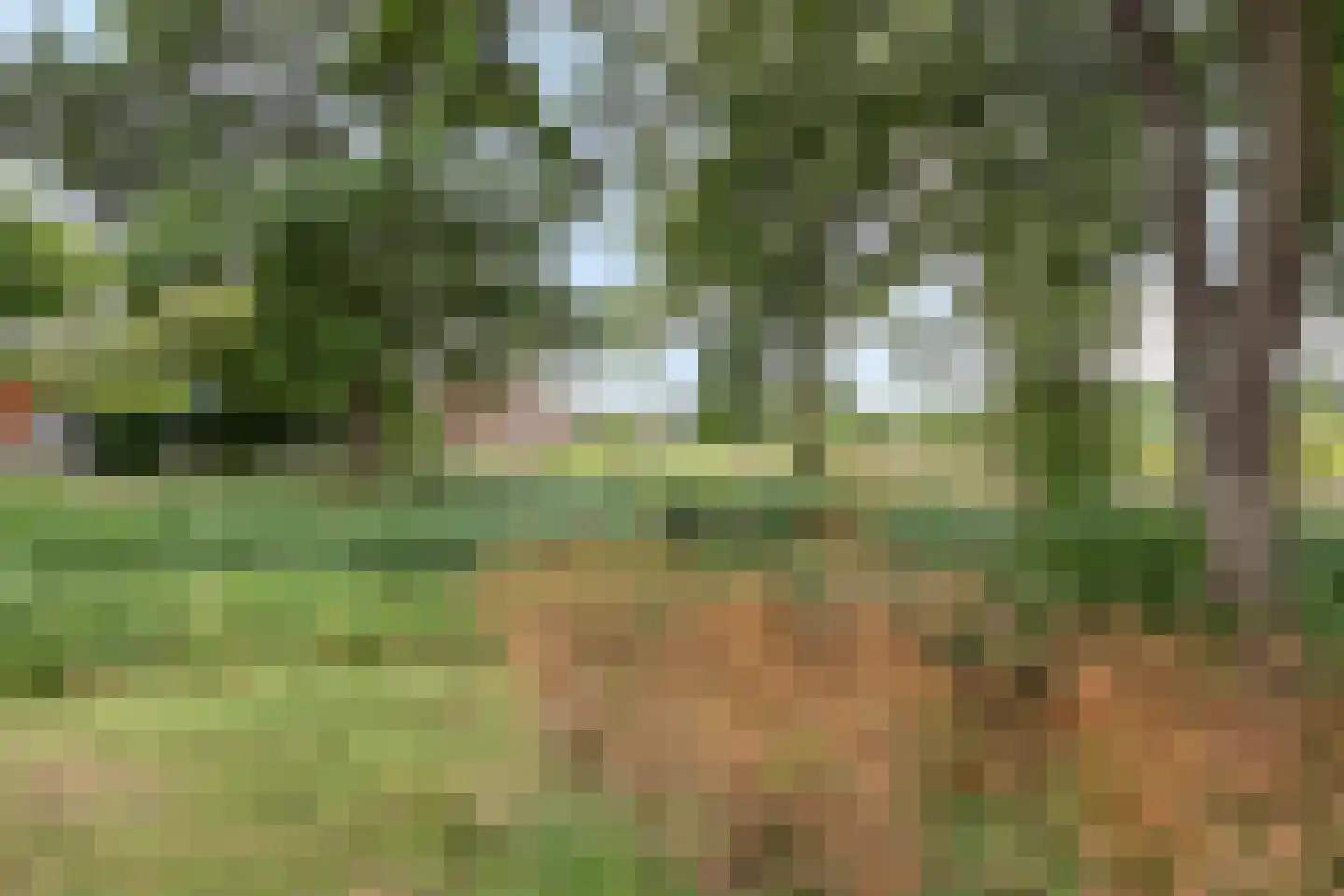 Dirck van Delenstraat 1 Middelburg thumbnail 29
