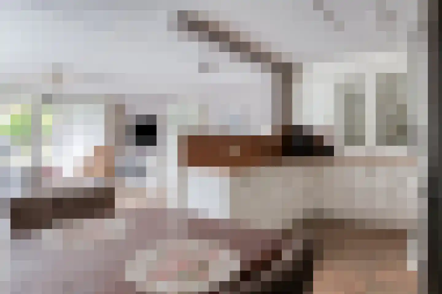 Dirck van Delenstraat 1 Middelburg thumbnail 8