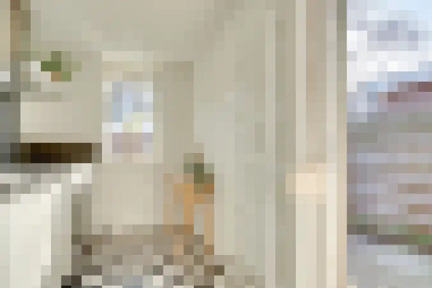 Dirck van Zuylenstraat 13 Utrecht thumbnail 16