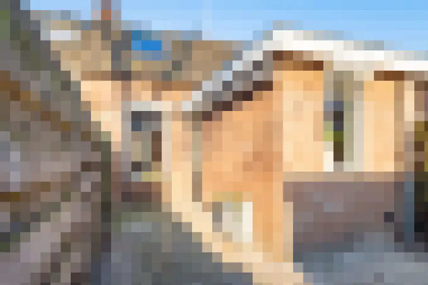 Dirck van Zuylenstraat 13 Utrecht thumbnail 23