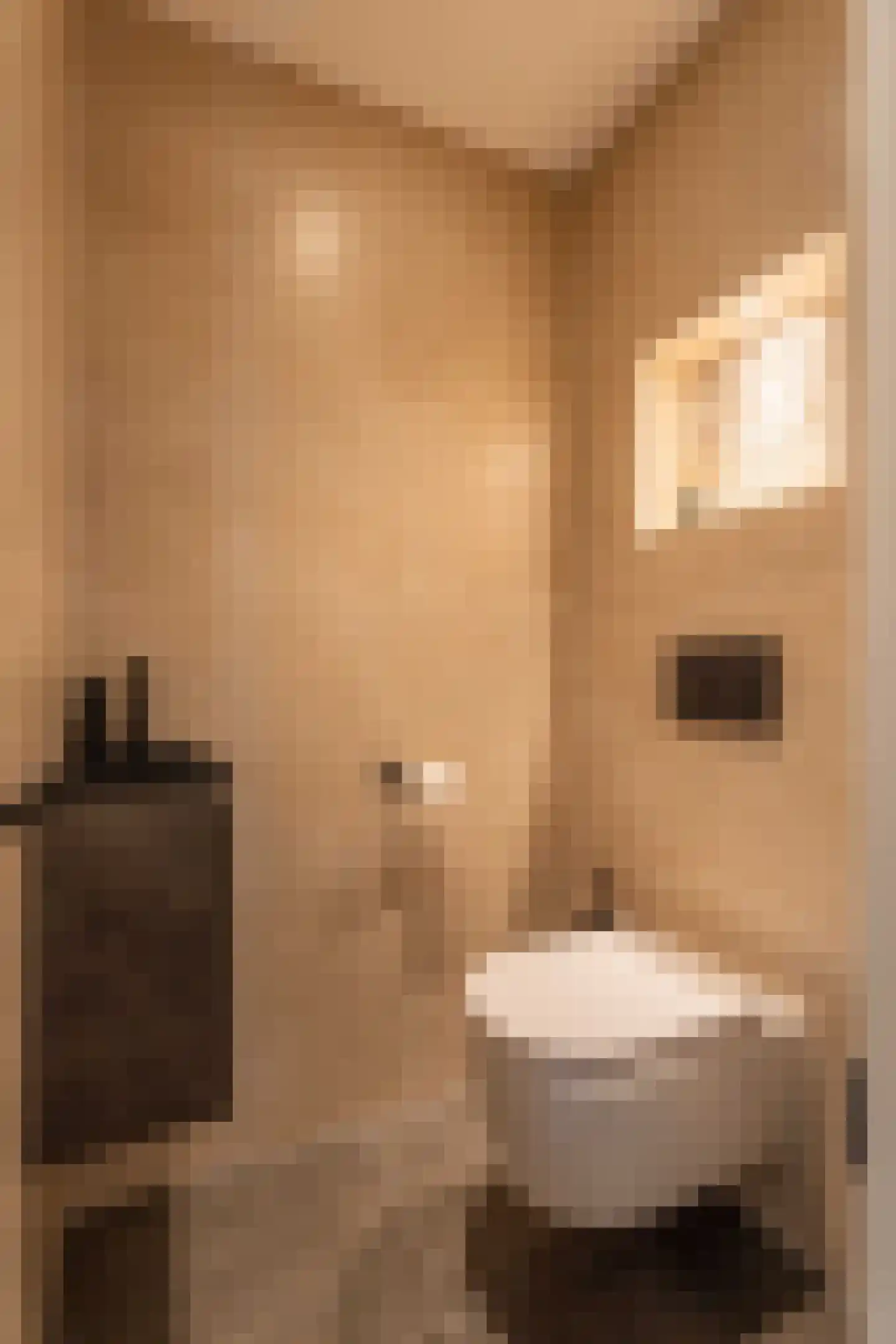 Dirck Verhagenstraat 16 Voorhout thumbnail 14