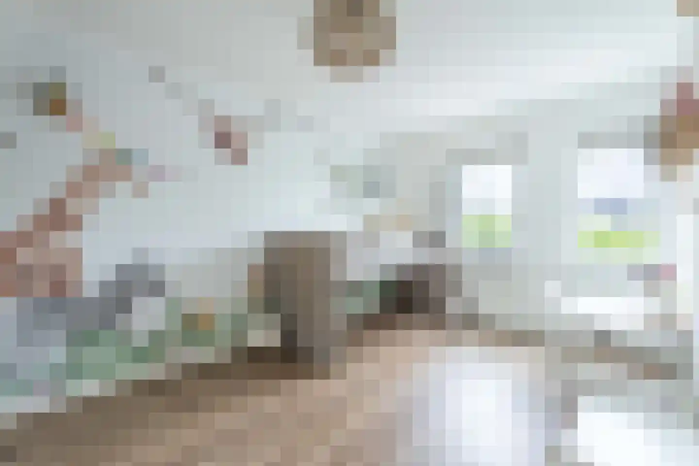 Dirck Verhagenstraat 16 Voorhout thumbnail 20