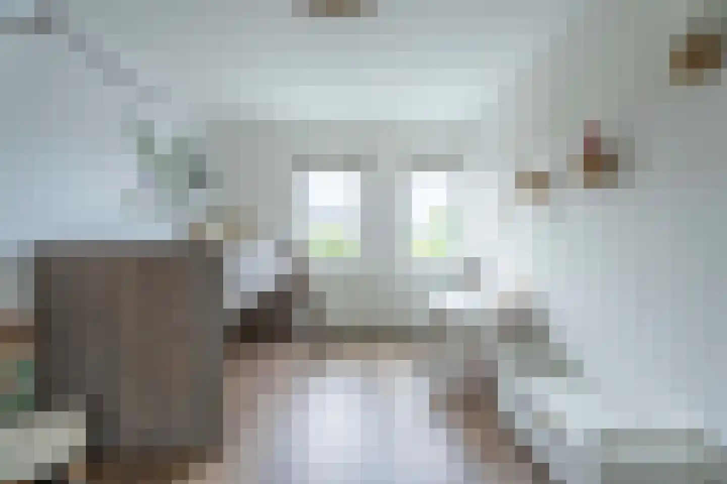 Dirck Verhagenstraat 16 Voorhout thumbnail 21