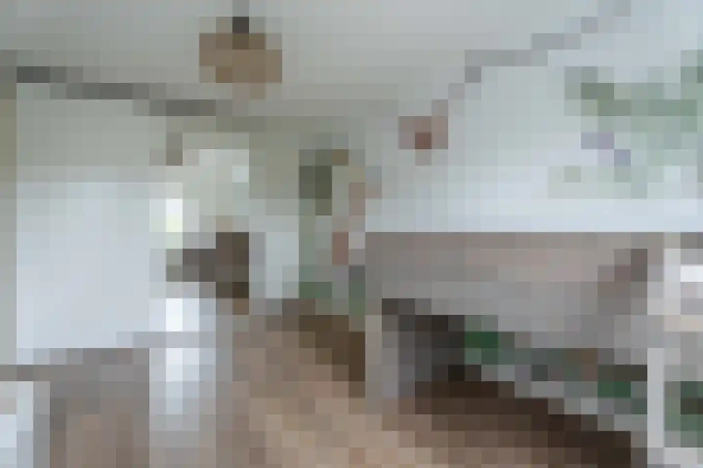 Dirck Verhagenstraat 16 Voorhout thumbnail 22
