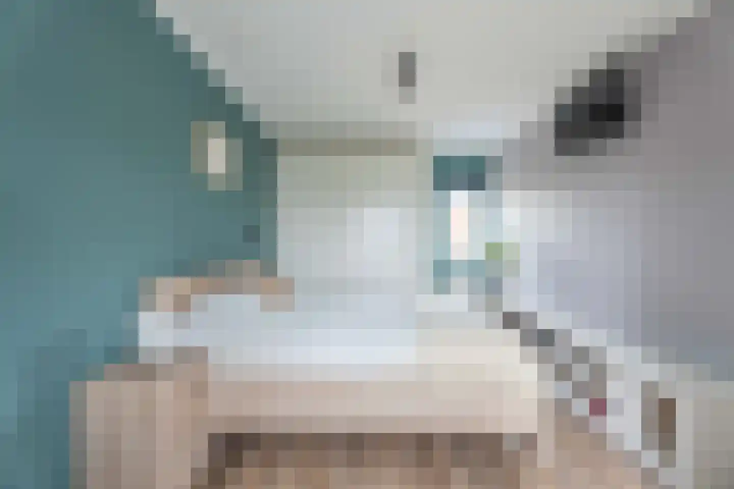 Dirck Verhagenstraat 16 Voorhout thumbnail 29