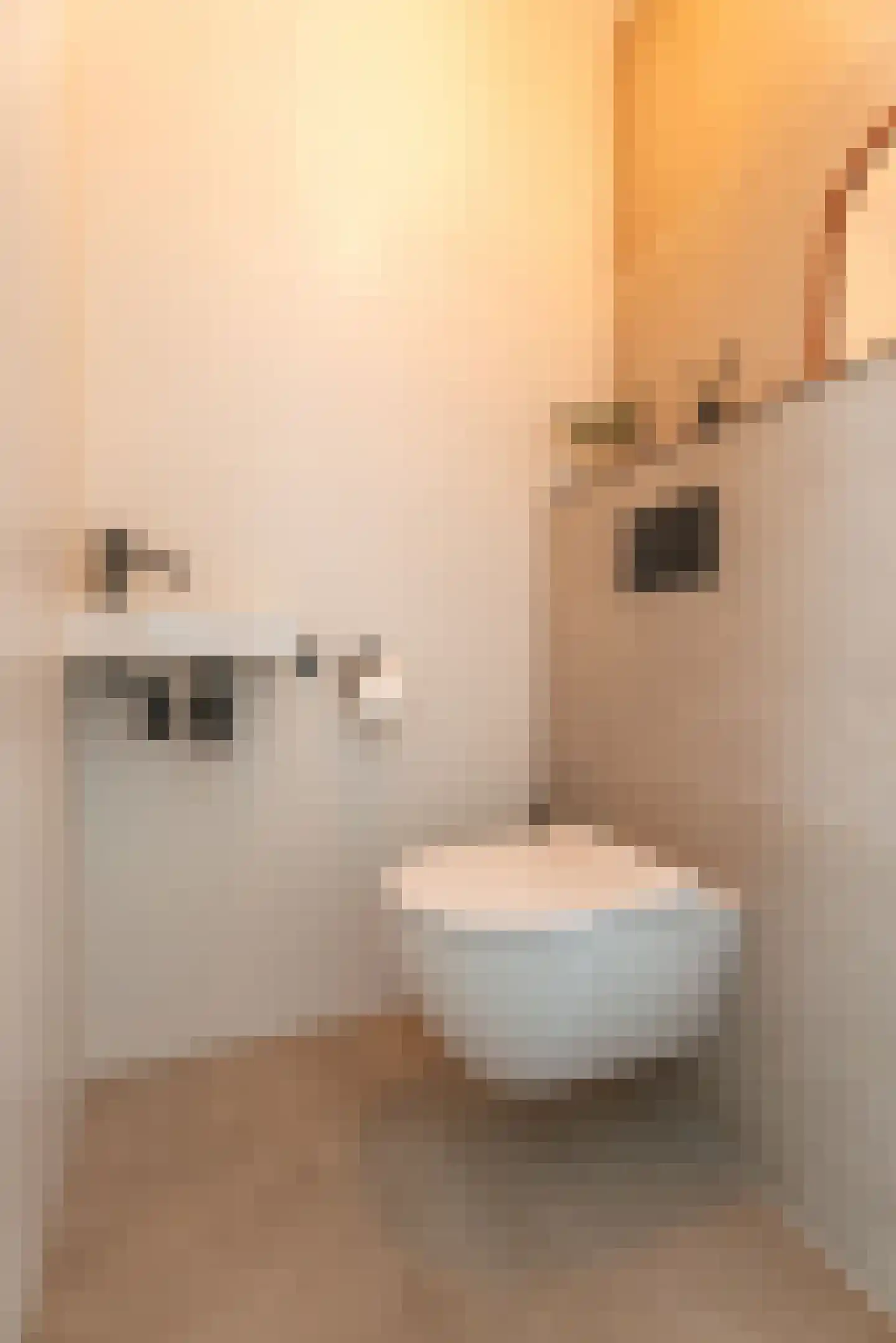 Dirck Verhagenstraat 27 Voorhout thumbnail 18