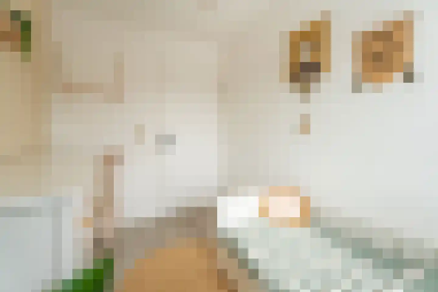 Dirck Verhagenstraat 27 Voorhout thumbnail 25