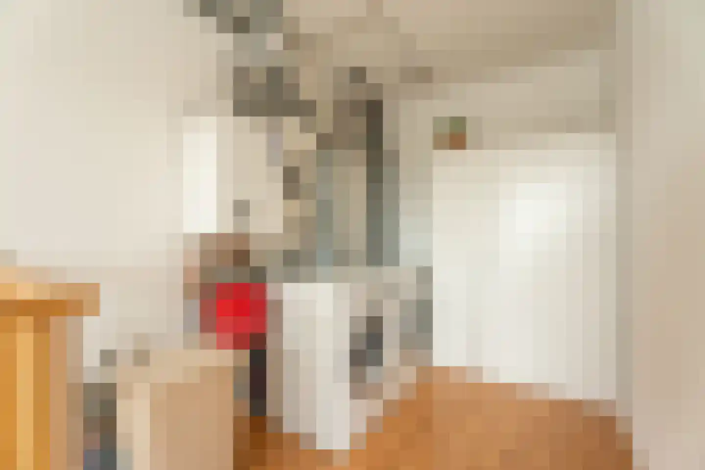 Dirck Verhagenstraat 27 Voorhout thumbnail 33