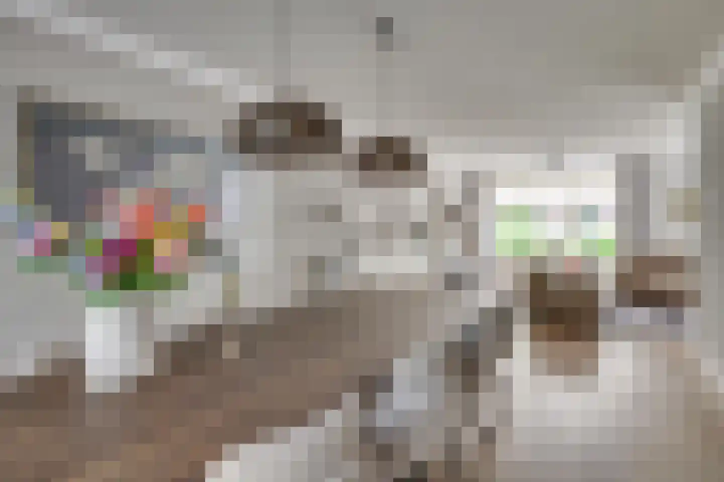 Dircxken van Meghenstraat 16 Helmond thumbnail 18