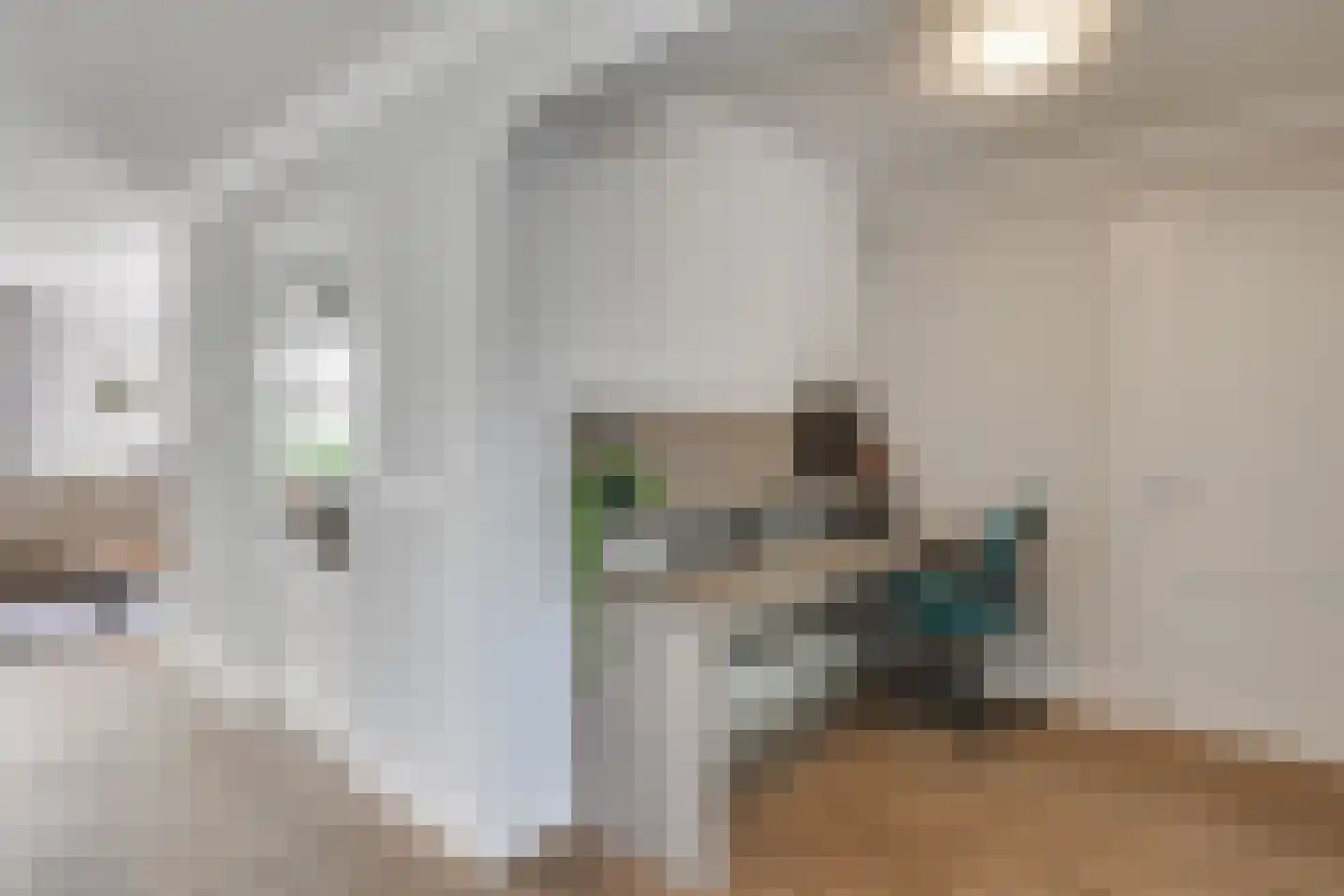 Dircxken van Meghenstraat 16 Helmond thumbnail 19