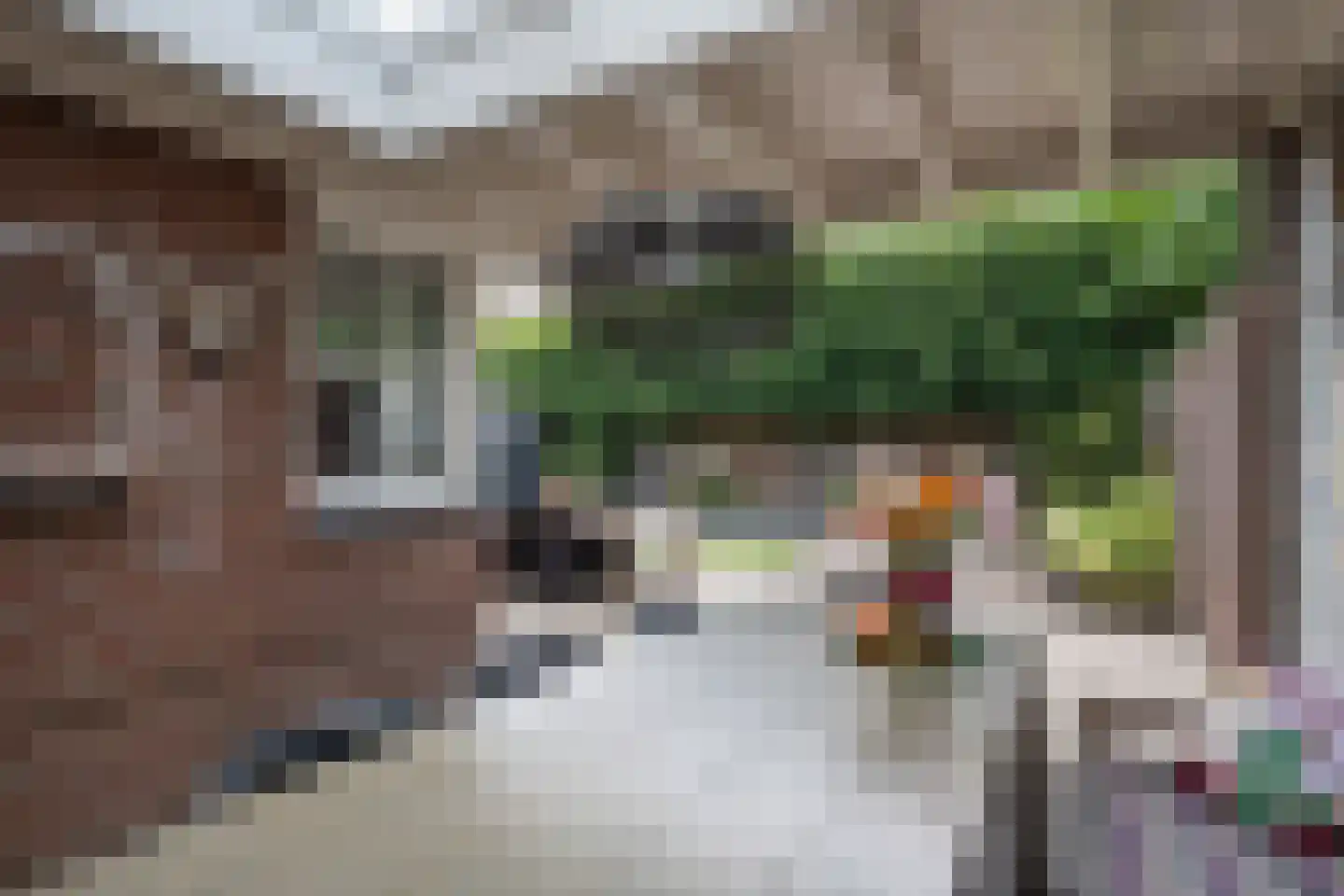 Dircxken van Meghenstraat 16 Helmond thumbnail 36