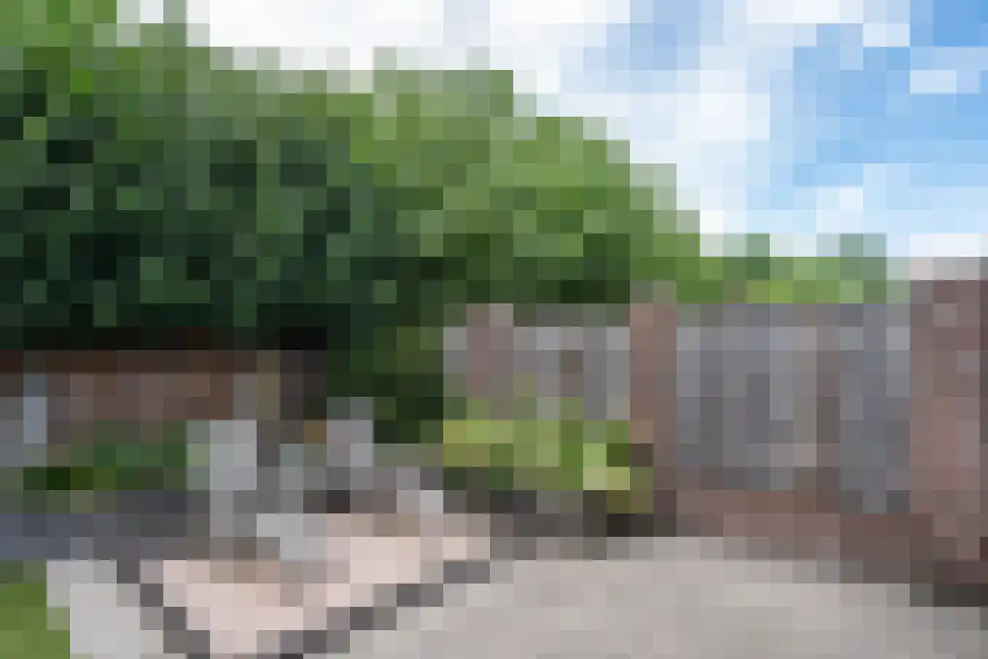 Dircxken van Meghenstraat 16 Helmond thumbnail 38