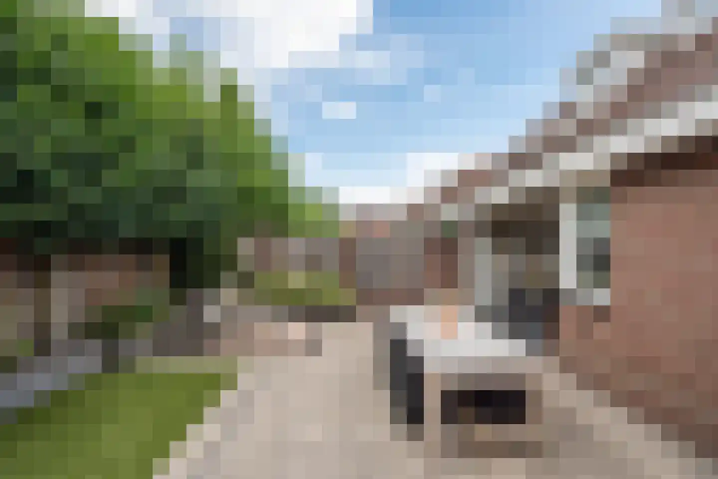 Dircxken van Meghenstraat 16 Helmond thumbnail 39