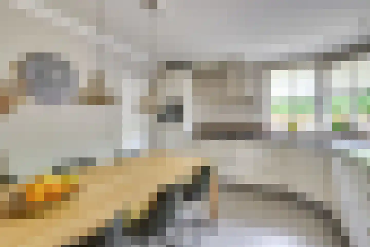 Dircxken van Meghenstraat 16 Helmond thumbnail 5