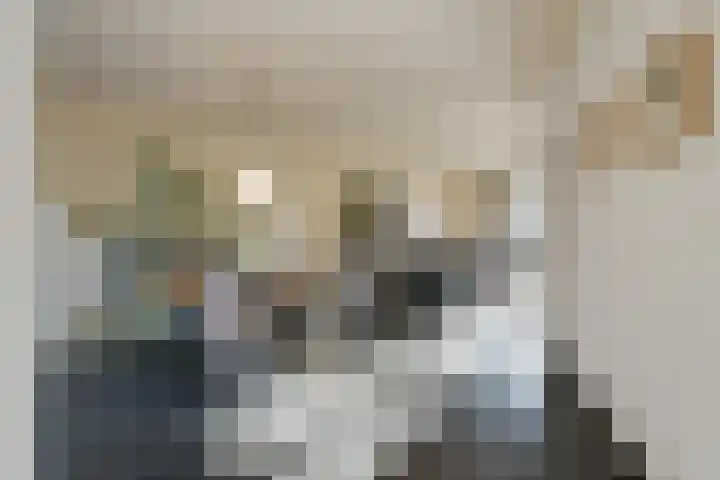 Dircxken van Meghenstraat 4 Helmond thumbnail 18