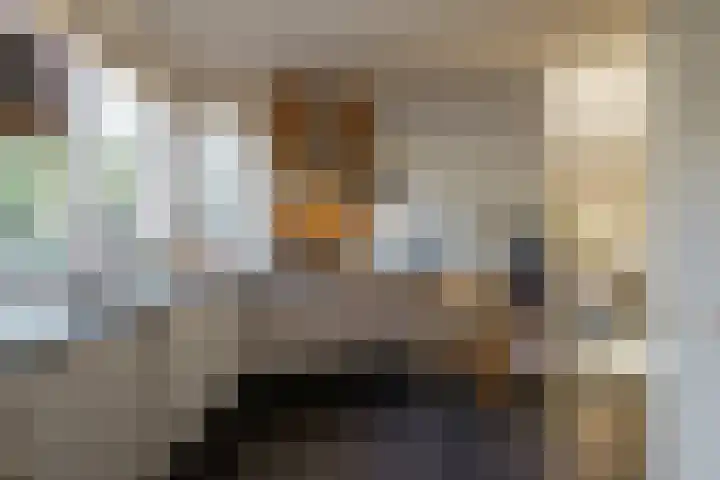 Dircxken van Meghenstraat 4 Helmond thumbnail 20