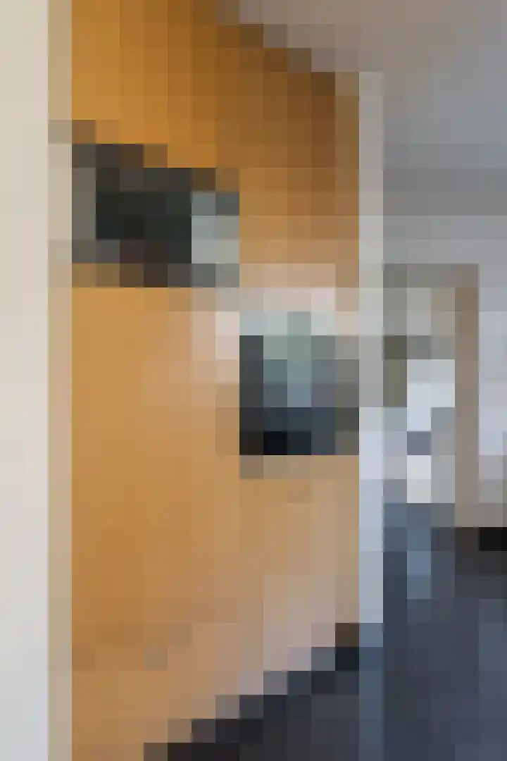 Dircxken van Meghenstraat 4 Helmond thumbnail 23