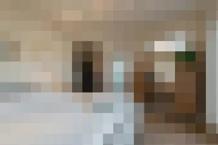 Dircxken van Meghenstraat 4 Helmond thumbnail 30