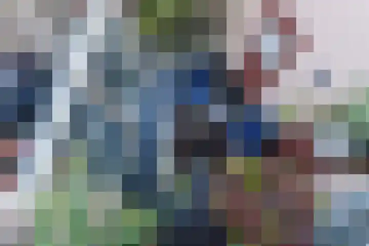 Dircxken van Meghenstraat 4 Helmond thumbnail 31