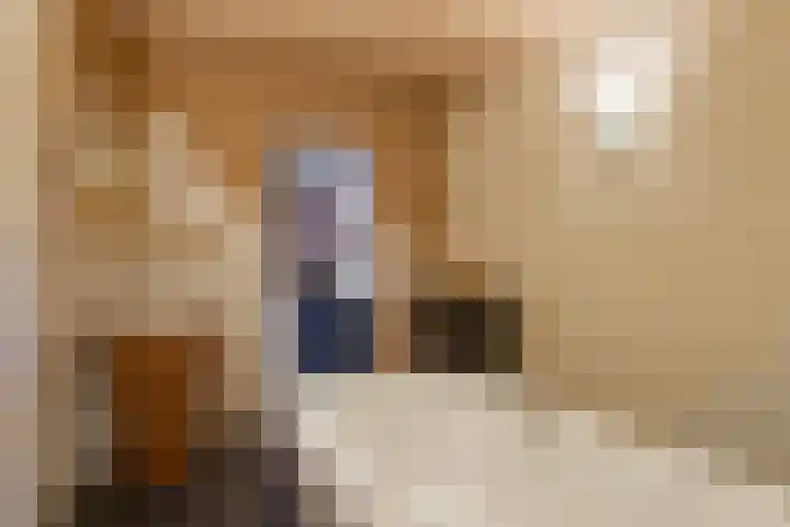 Dircxken van Meghenstraat 4 Helmond thumbnail 34