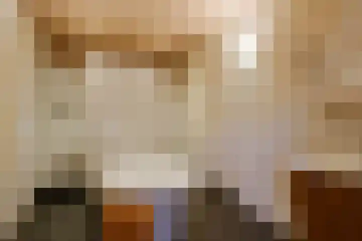 Dircxken van Meghenstraat 4 Helmond thumbnail 35