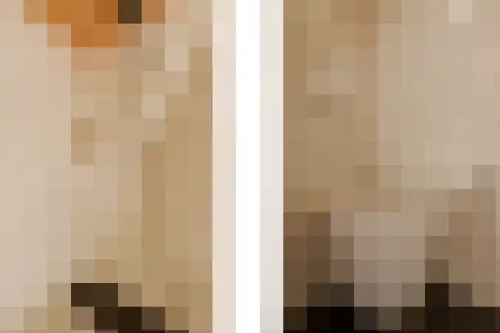 Dircxken van Meghenstraat 4 Helmond thumbnail 36