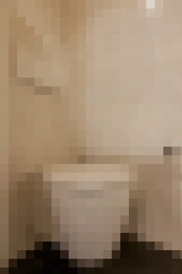Dircxken van Meghenstraat 4 Helmond thumbnail 38