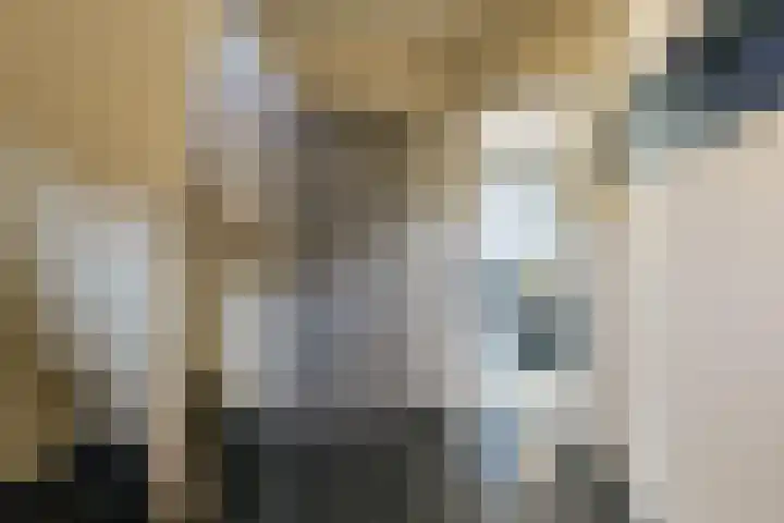 Dircxken van Meghenstraat 4 Helmond thumbnail 4