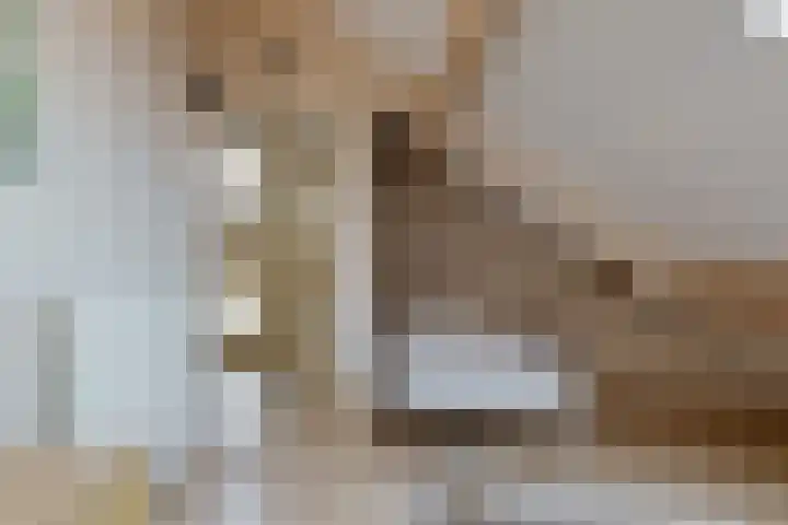 Dircxken van Meghenstraat 4 Helmond thumbnail 41