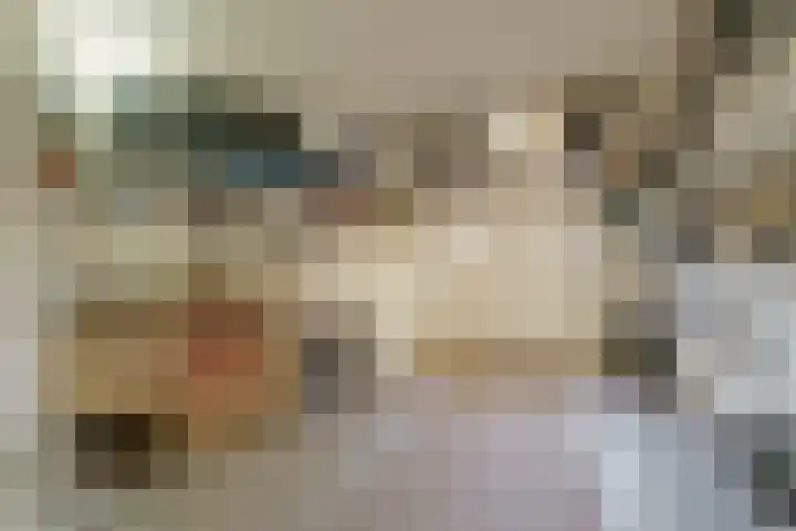 Dircxken van Meghenstraat 4 Helmond thumbnail 48