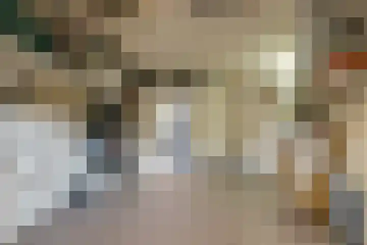 Dircxken van Meghenstraat 4 Helmond thumbnail 49