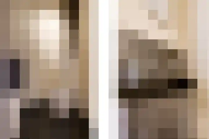 Dircxken van Meghenstraat 4 Helmond thumbnail 5