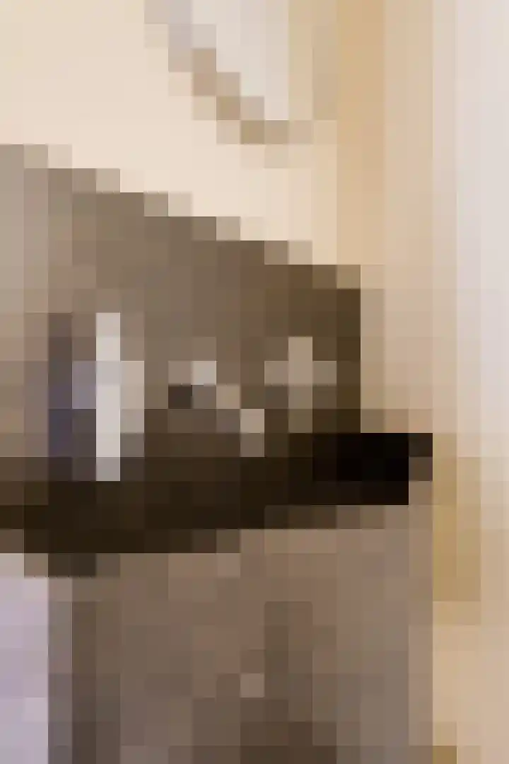Dircxken van Meghenstraat 4 Helmond thumbnail 7