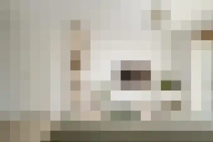 Directeur de Gelderstraat 21 Rotterdam thumbnail 5