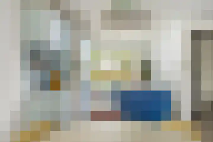 Directeur de Gelderstraat 21 Rotterdam thumbnail 9