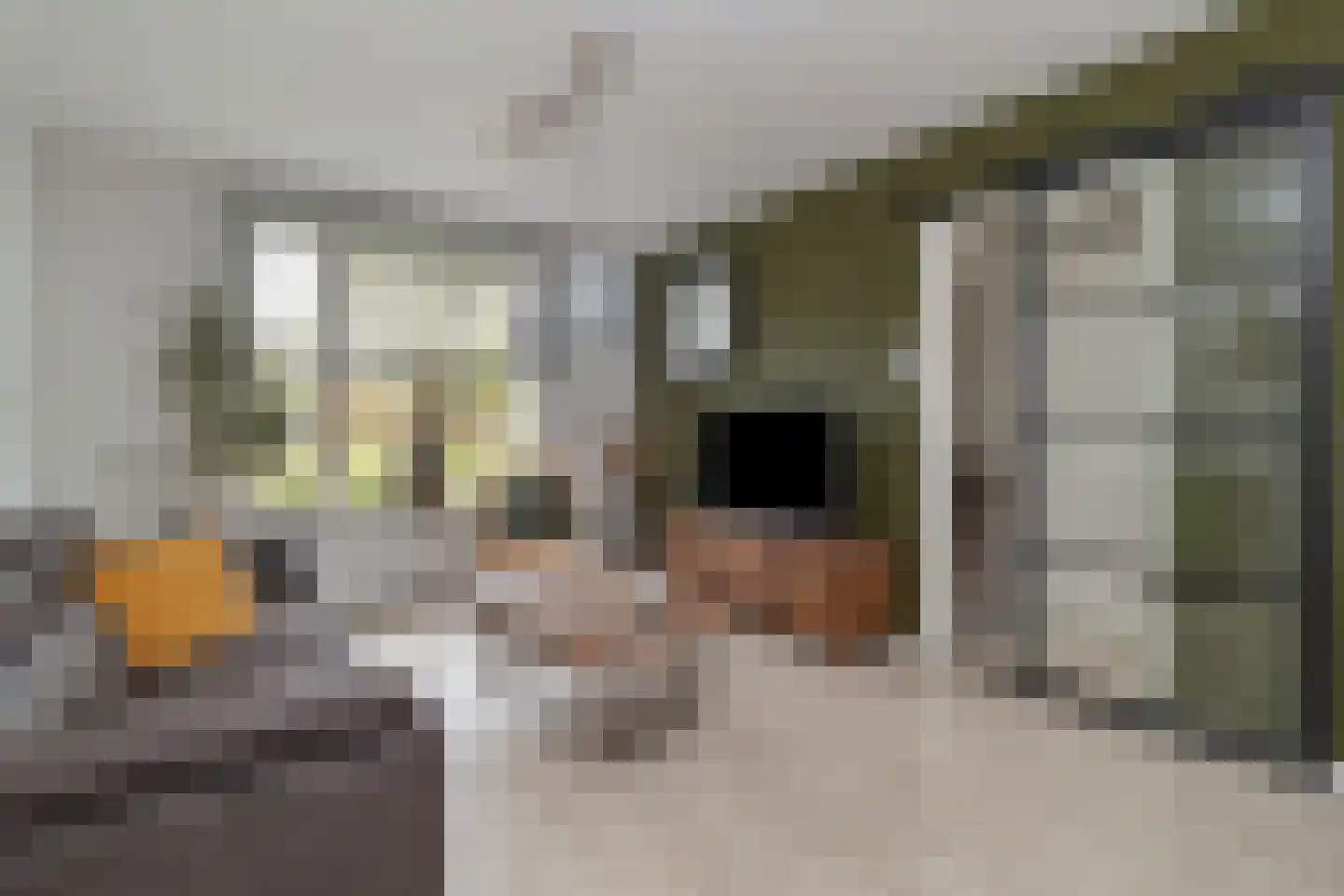 Directeur Schrijnenstraat 12 Kerkrade thumbnail 5
