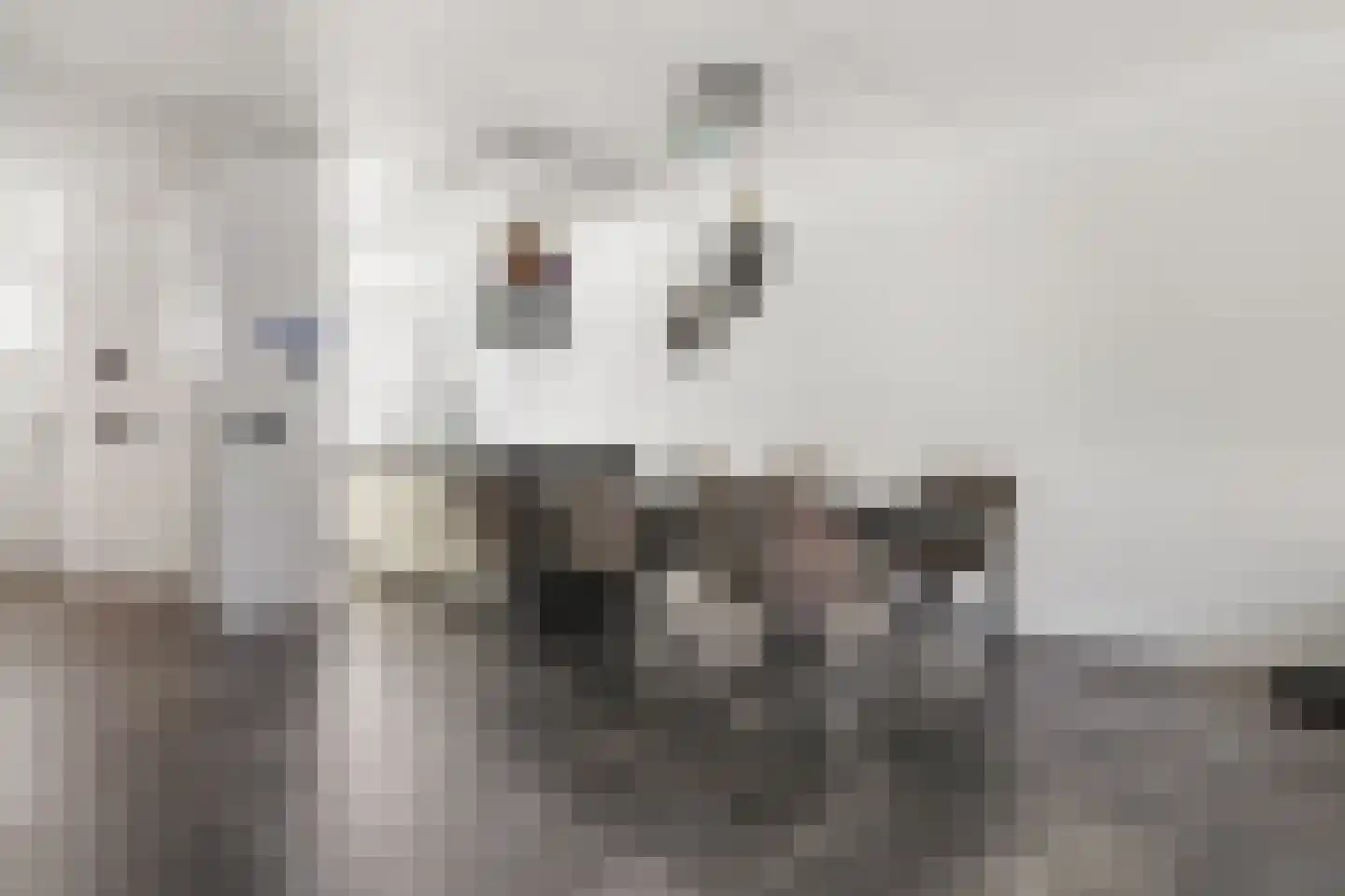 Directeur Stassenstraat 3 Kerkrade thumbnail 12