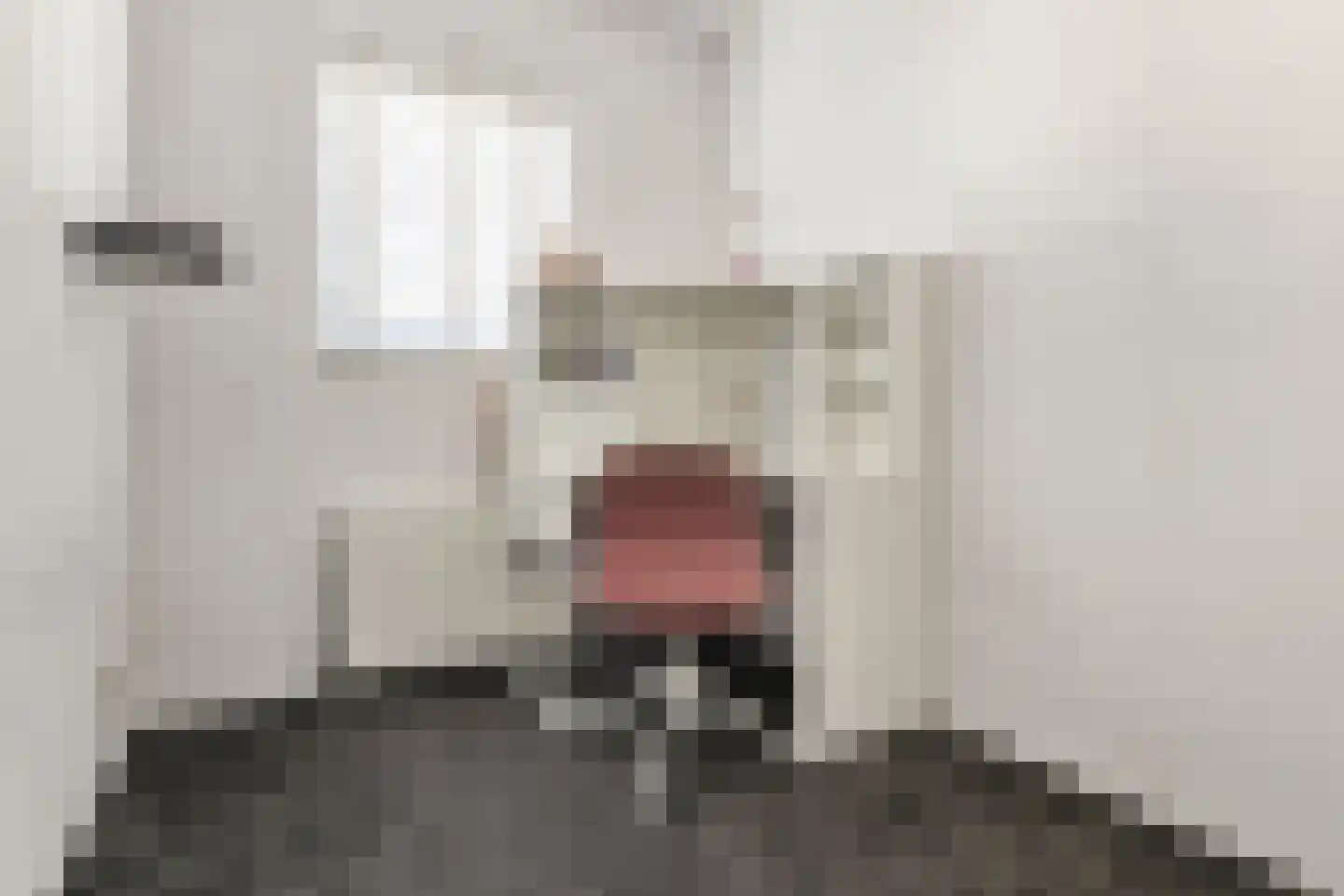 Directeur Stassenstraat 3 Kerkrade thumbnail 23