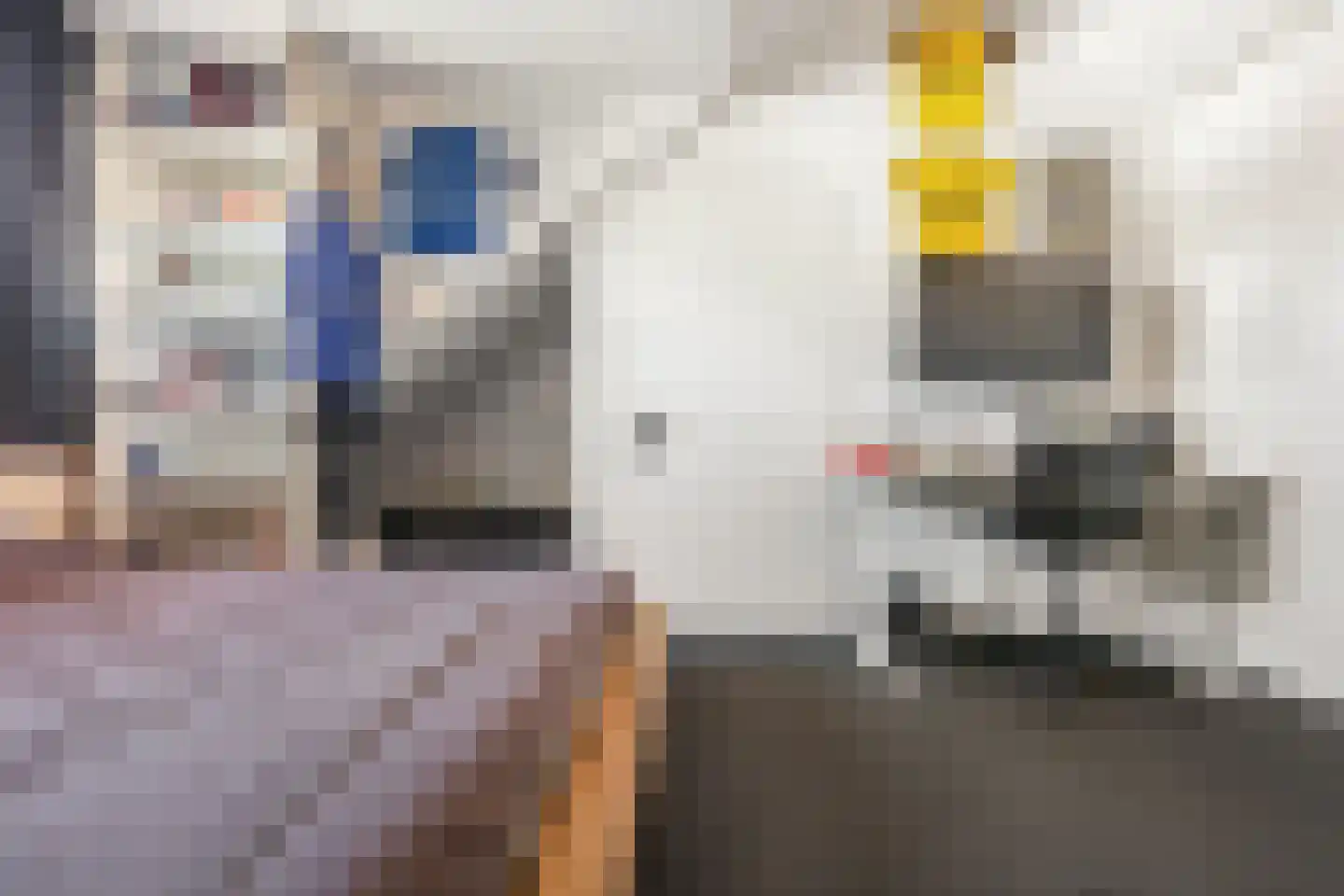 Directeur Stassenstraat 3 Kerkrade thumbnail 29