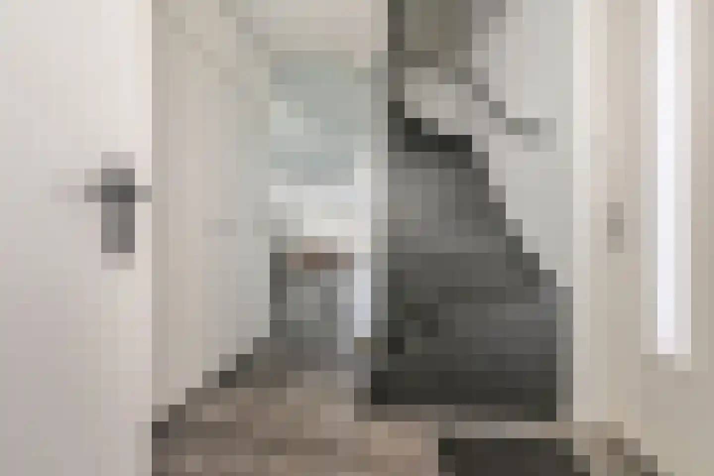 Directeur Stassenstraat 3 Kerkrade thumbnail 7