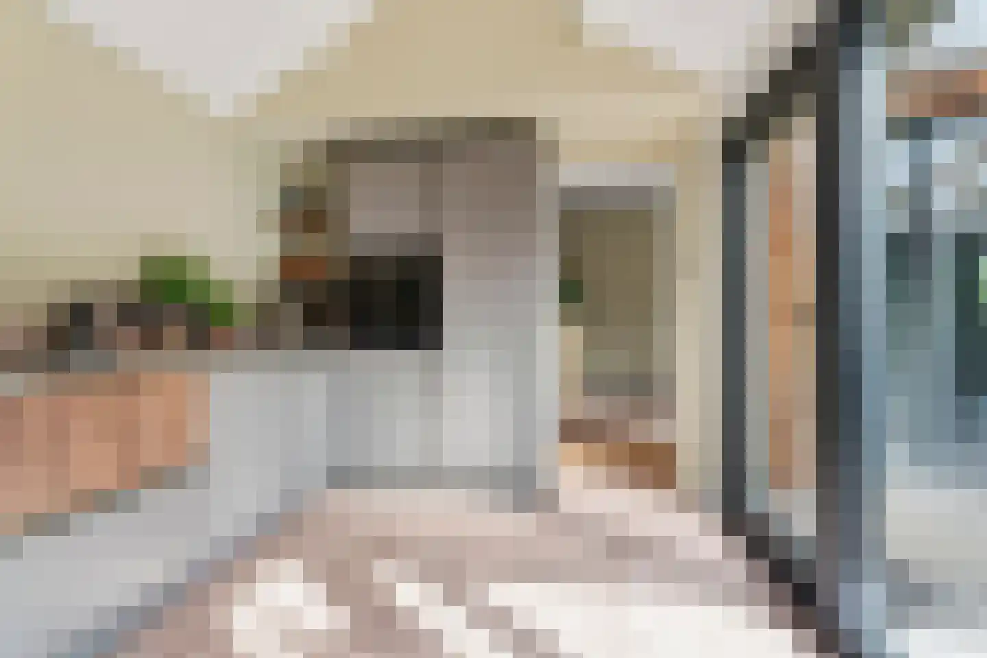 Directeur Trompstraat 1 Ewijk thumbnail 13