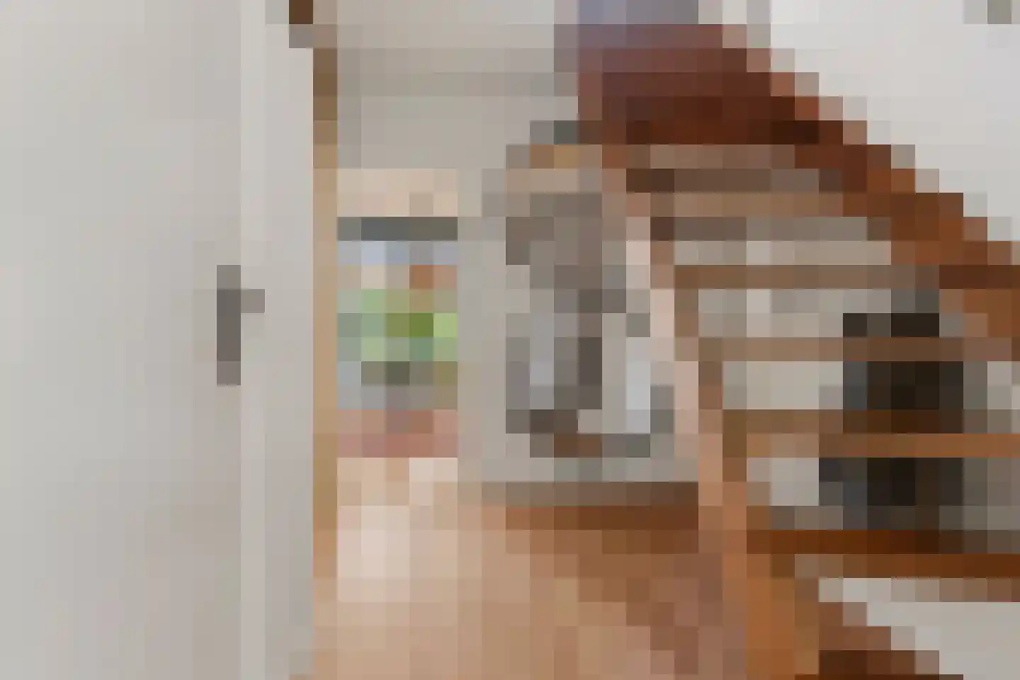 Directeur Trompstraat 1 Ewijk thumbnail 17