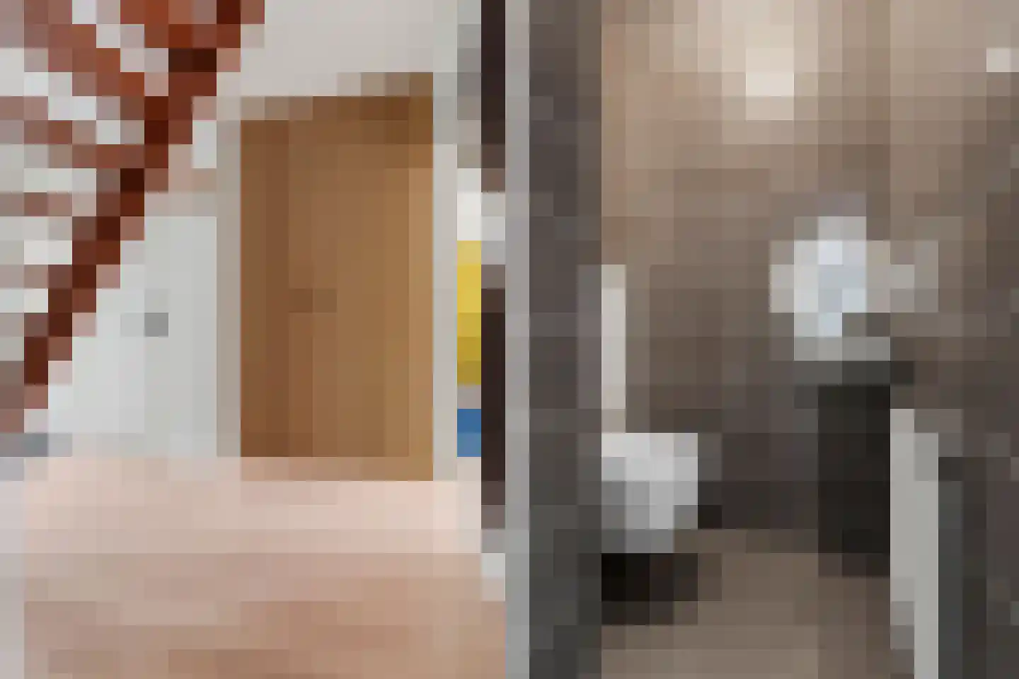 Directeur Trompstraat 1 Ewijk thumbnail 18