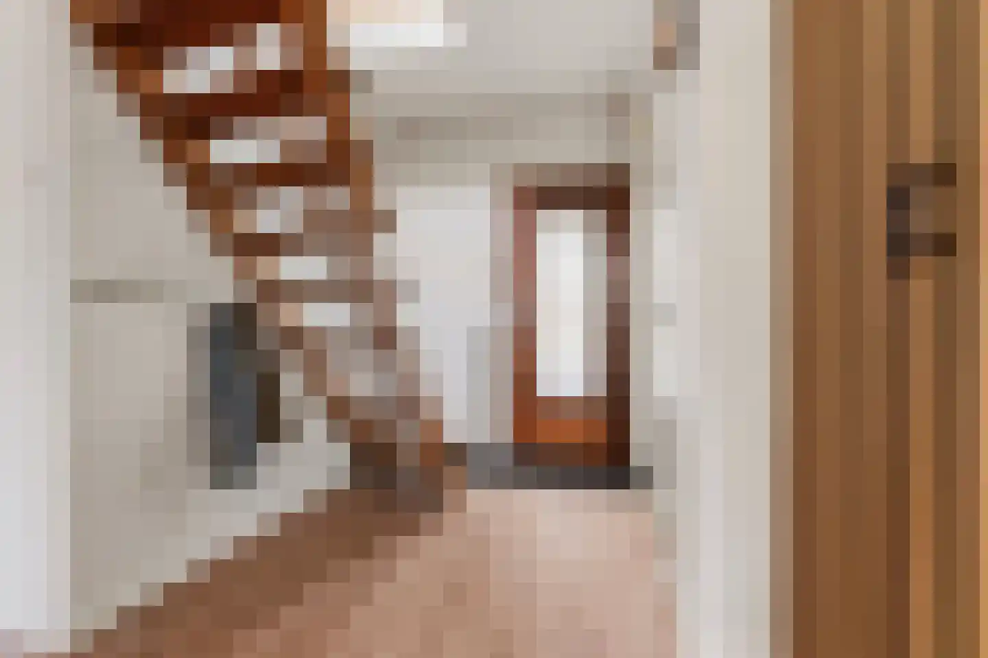 Directeur Trompstraat 1 Ewijk thumbnail 19