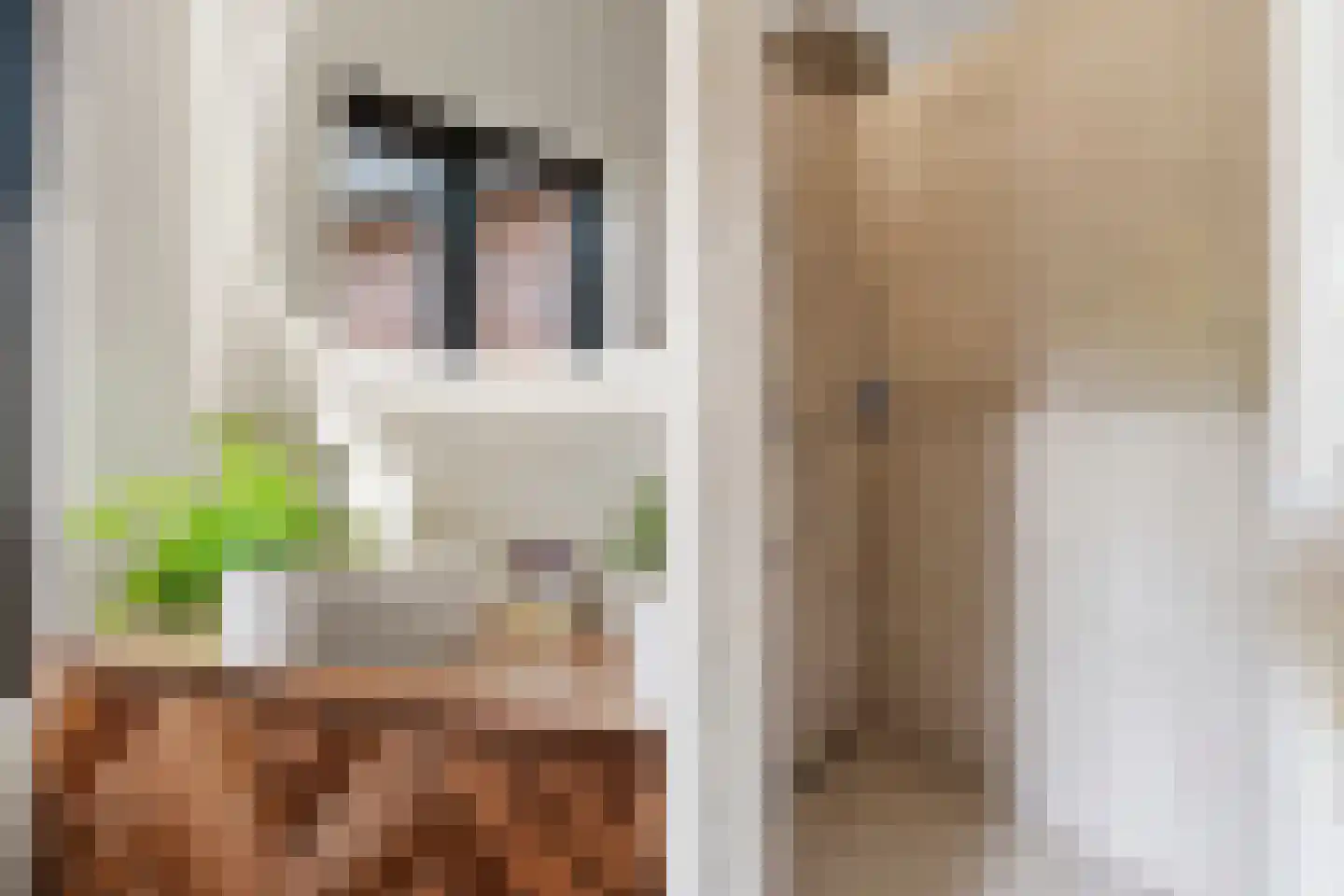 Directeur Trompstraat 1 Ewijk thumbnail 25