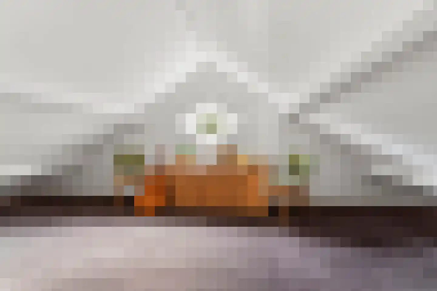 Directeur Trompstraat 1 Ewijk thumbnail 28