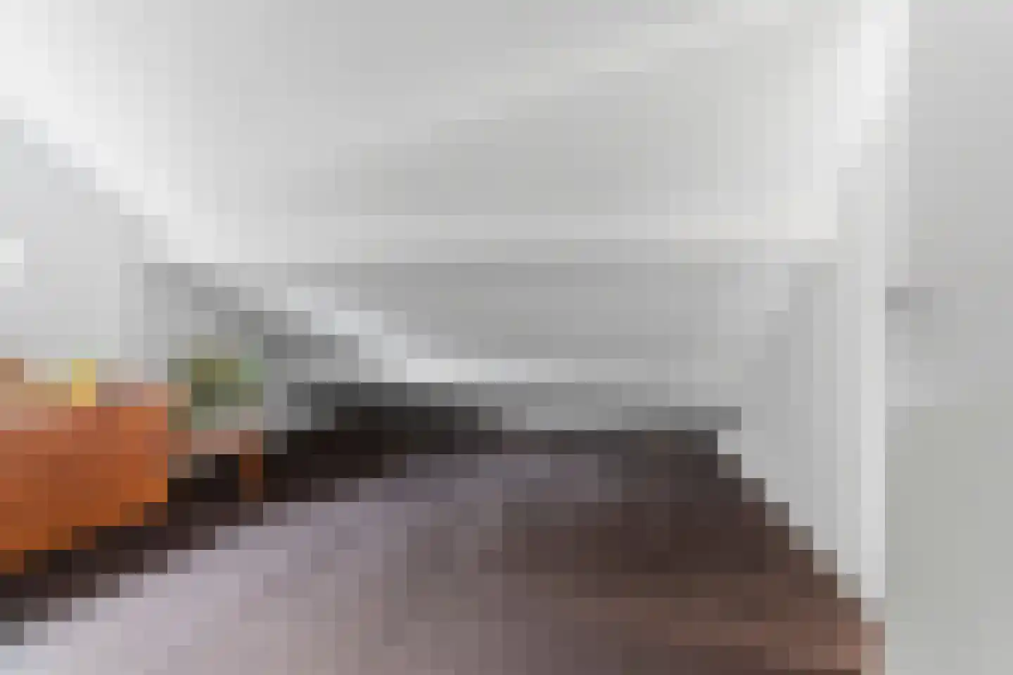 Directeur Trompstraat 1 Ewijk thumbnail 29
