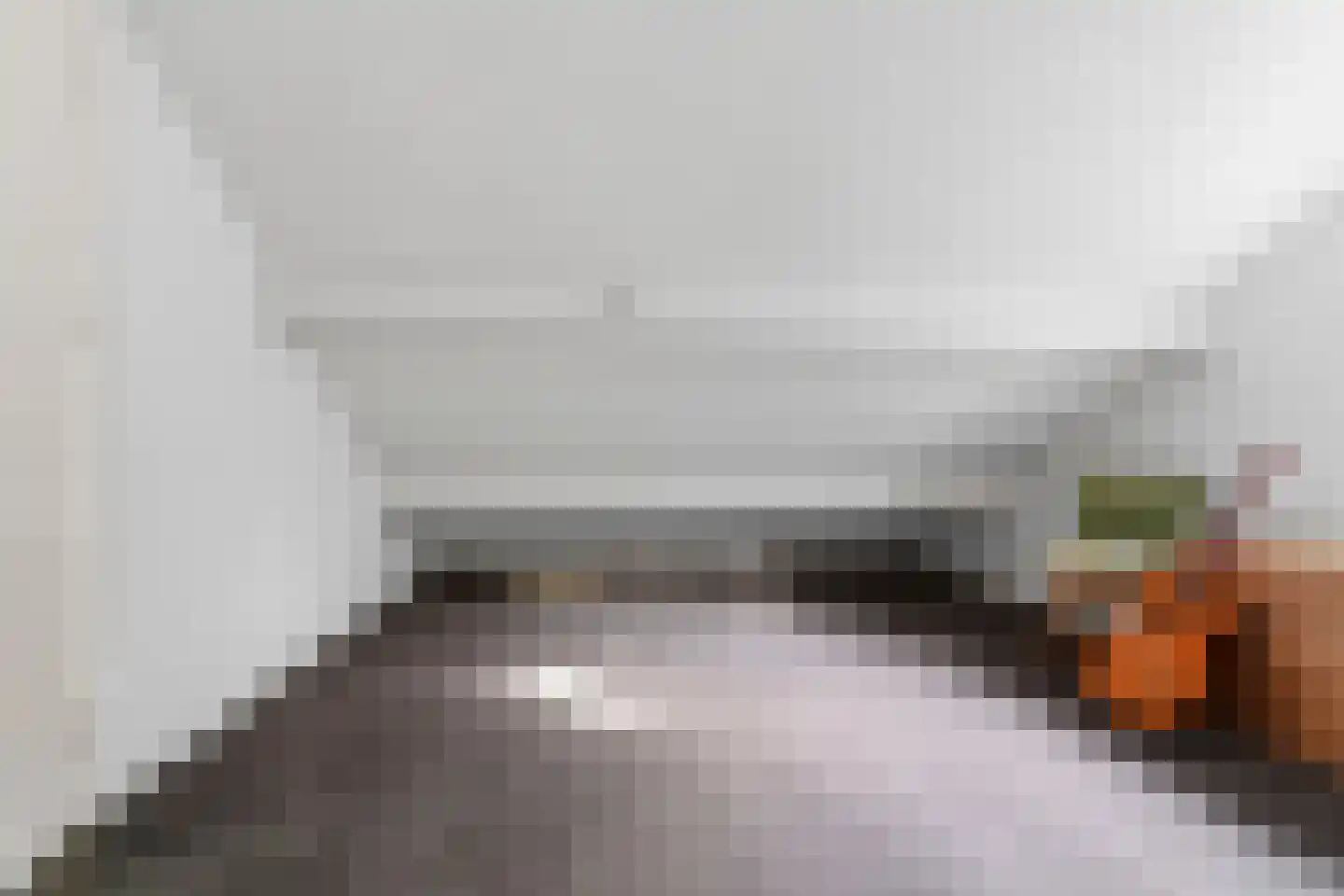 Directeur Trompstraat 1 Ewijk thumbnail 30